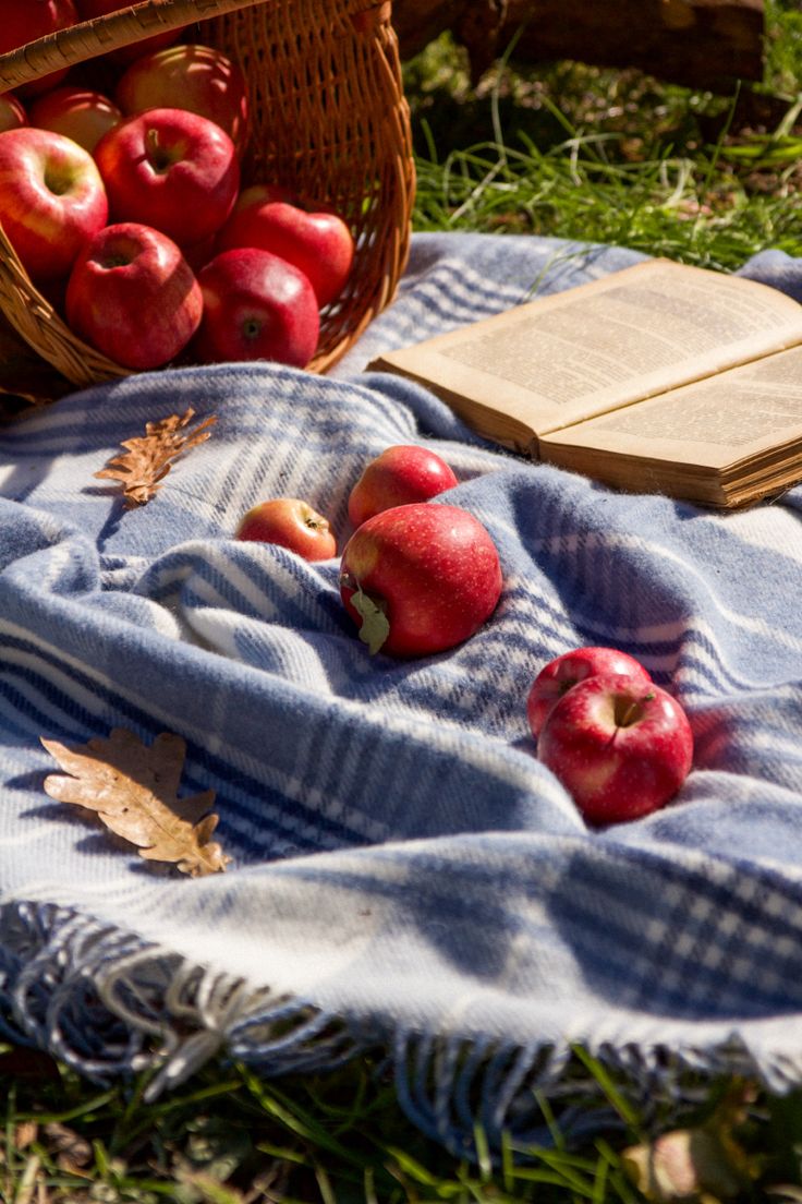 apples and an open book on a blanket in the grass