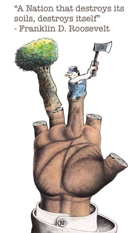 Deforestation Poster, Save Tree Save Earth, Save Environment Posters, Save Earth Posters, Save Water Poster Drawing, Save Water Poster, Selamat Hari Valentine, رسم كاريكاتير, Earth Drawings