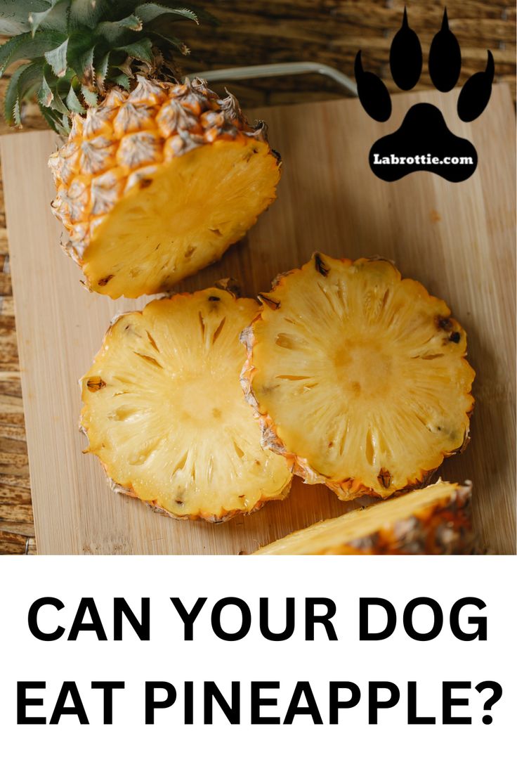 a pineapple cut in half with the words can your dog eat pineapple?