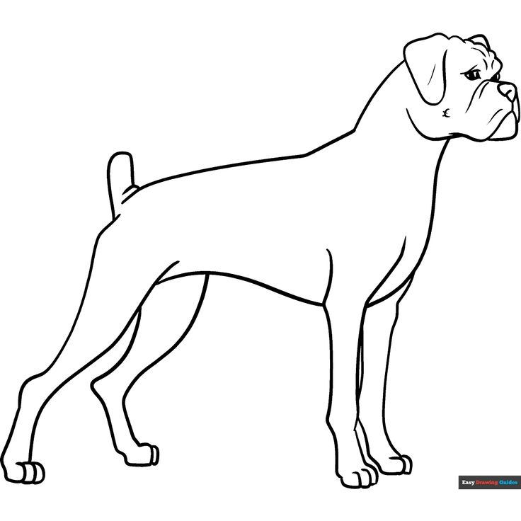 Free Boxer Dog Coloring Page for Kids Boxer Dog Drawing Easy, How To Draw A Boxer Dog Step By Step, How To Draw A Boxer Dog, Boxer Dog Outline, Boxer Dog Line Drawing, Boxer Dog Line Art, Boxer Dog Tattoo, Boxer Dog Pictures, Dog Line Drawing