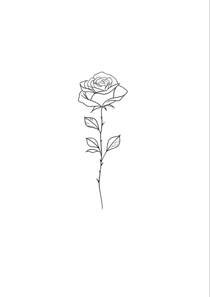 a drawing of a single rose on a white background