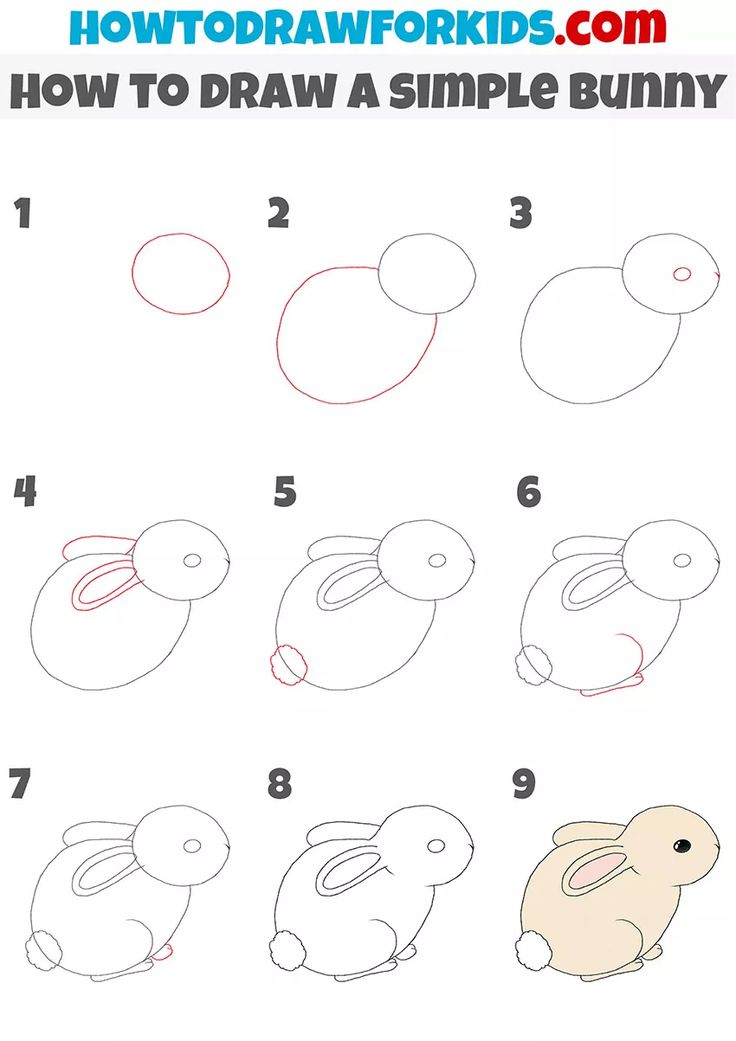 how to draw a simple bunny step by step instructions for kids and beginners with pictures