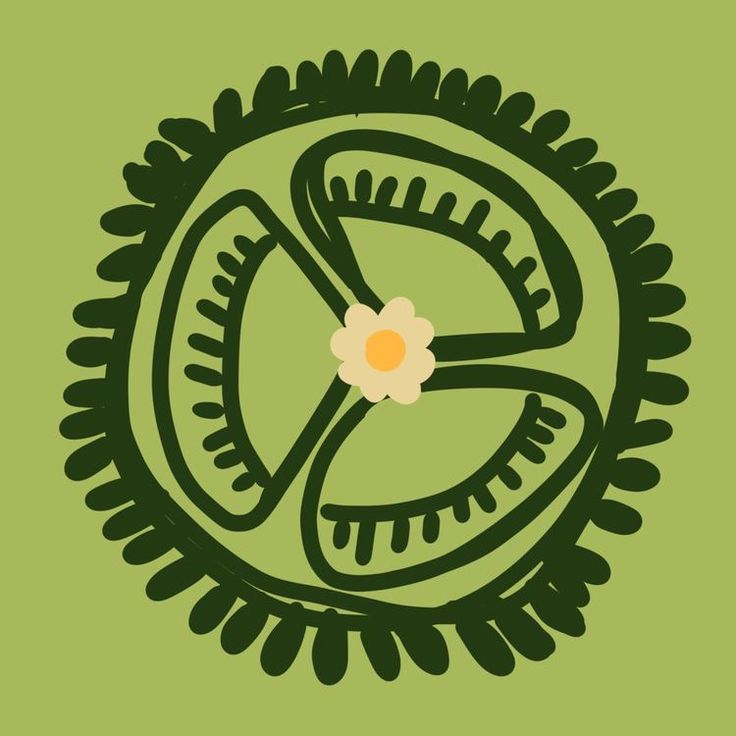 a flower in the center of a circular object