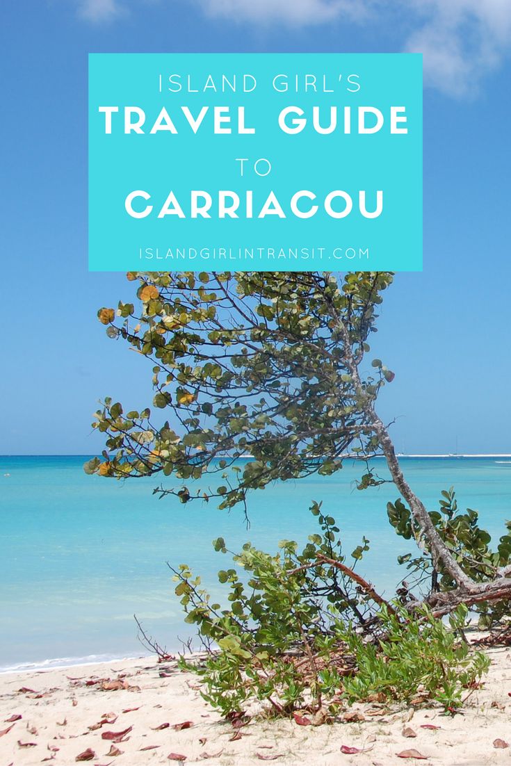 a tree on the beach with text overlay that reads island girls travel guide to caribecou