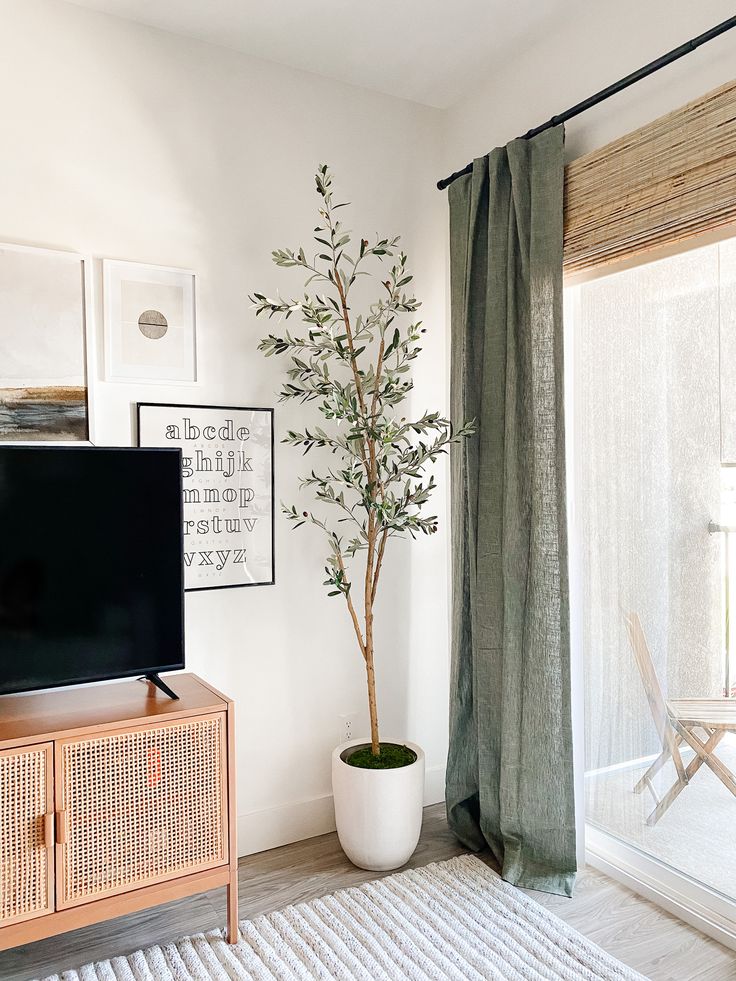 a living room with a tv, plant and pictures on the wall