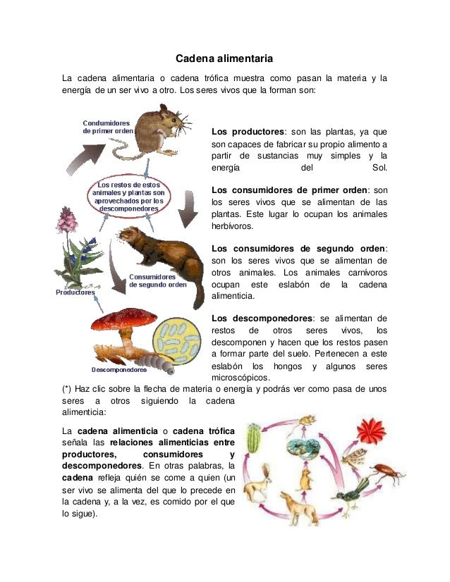 an image of animals and plants in spanish