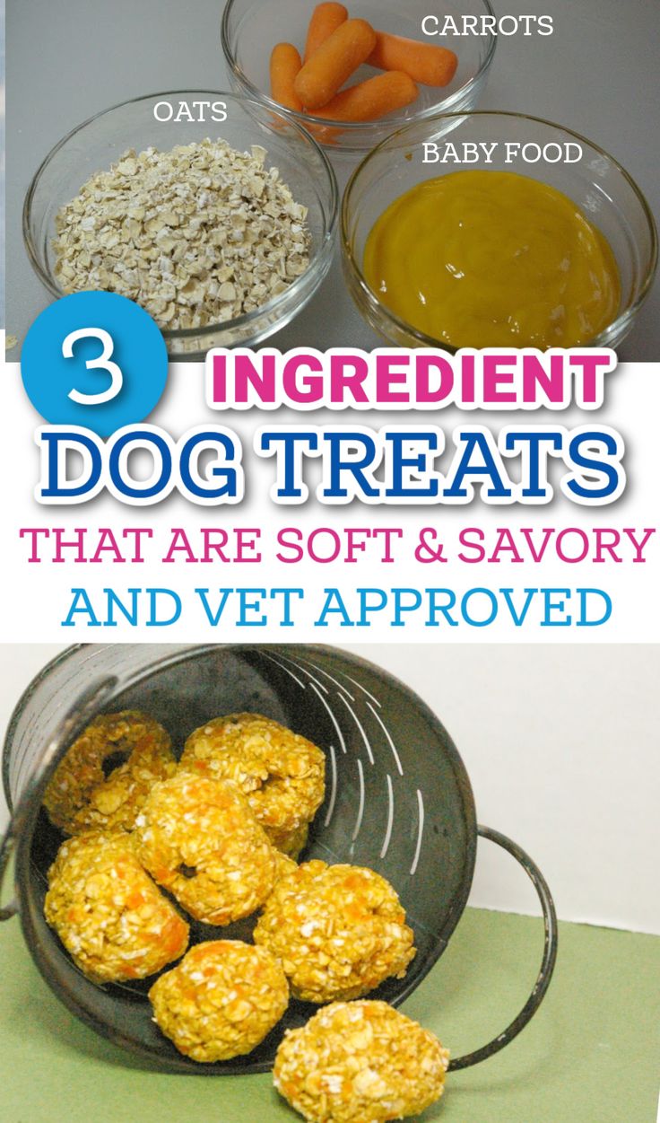 dog treat recipes easy Soft Dog Treats For Senior Dogs, Carrot Cake Dog Treats, Soft Puppy Treats Homemade, Homemade Dog Treats For Joints, Baby Food Dog Treats Recipes, Diy Soft Dog Treats, Soft Dog Treats Homemade Easy, Carrot Dog Treats Recipes, Chewy Dog Treats Homemade