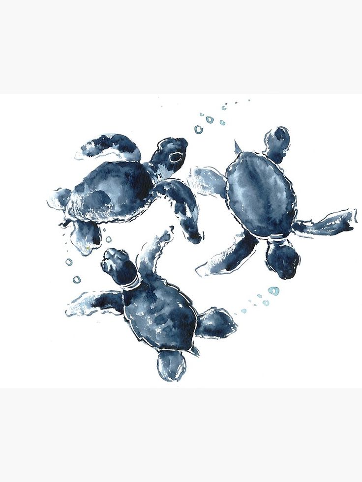 three sea turtles swimming in the ocean with bubbles on their back and one turtle above them