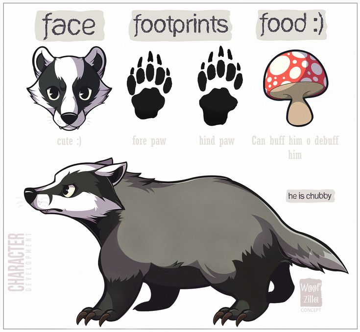 an animal's footprints and foot prints are shown in this drawing style, including a raccoon