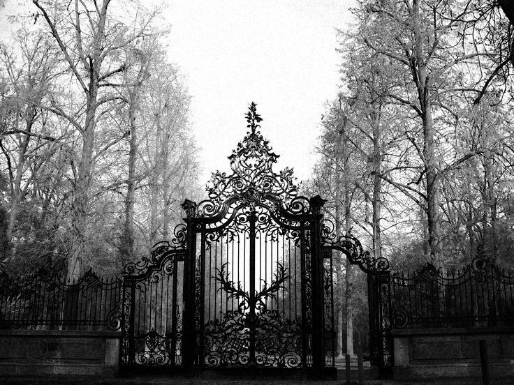 an iron gate in the middle of a park