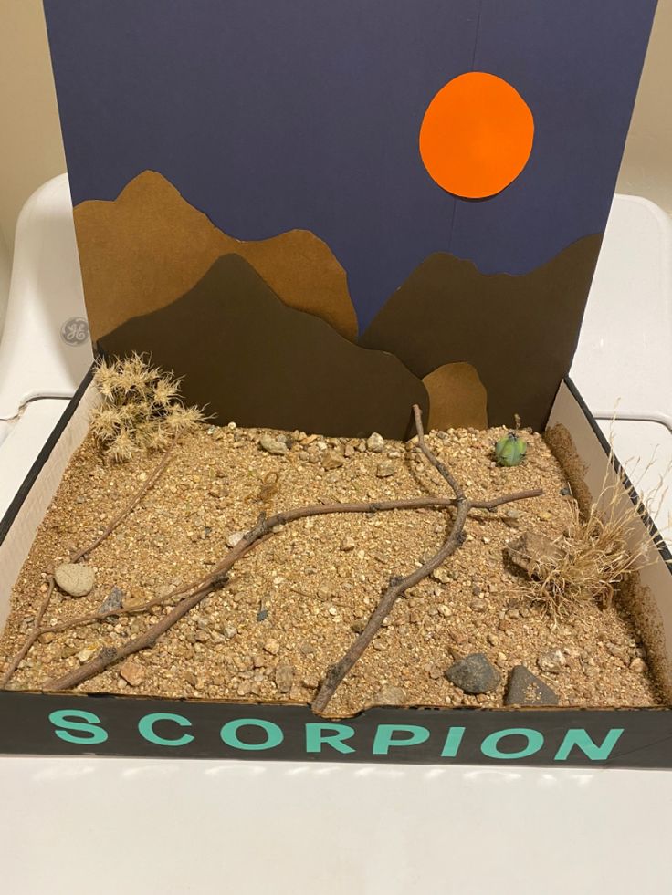 a cardboard box that is filled with dirt and plants in front of a mountain scene