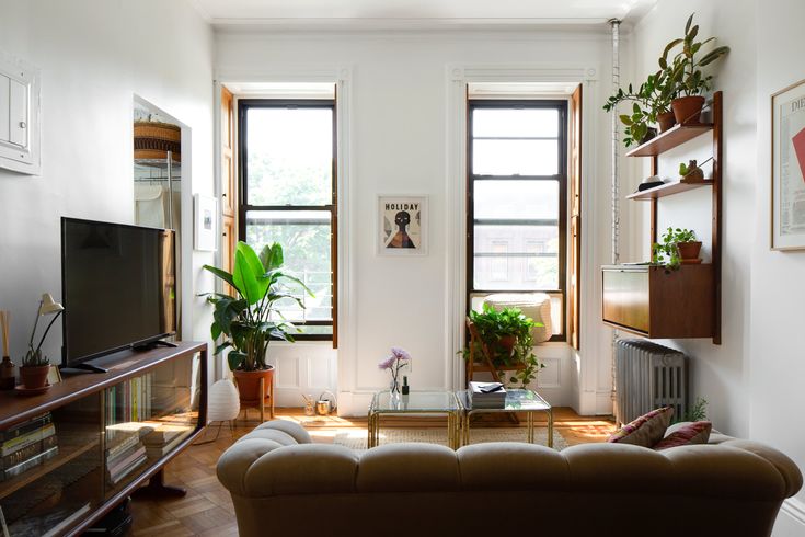 a living room filled with furniture and lots of plants on the windows sills