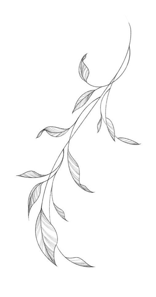 a drawing of a branch with leaves on it's end and the top part of its