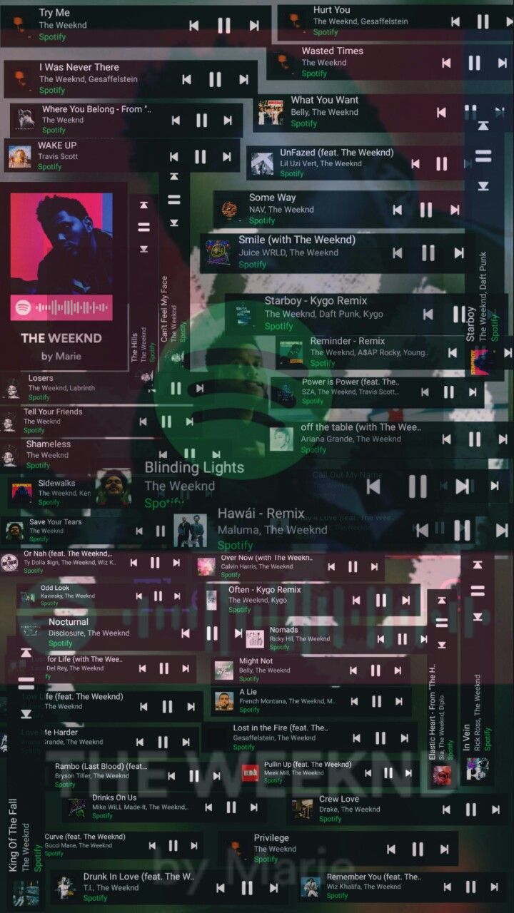 the back side of a computer screen showing various audio and music player's profile