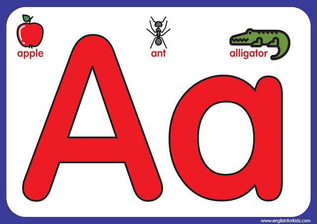 the letter a is for alligator and an apple