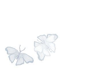 two white butterflies on a white background