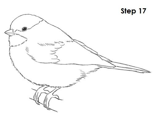 a drawing of a small bird sitting on top of a white sheet with the words step 17