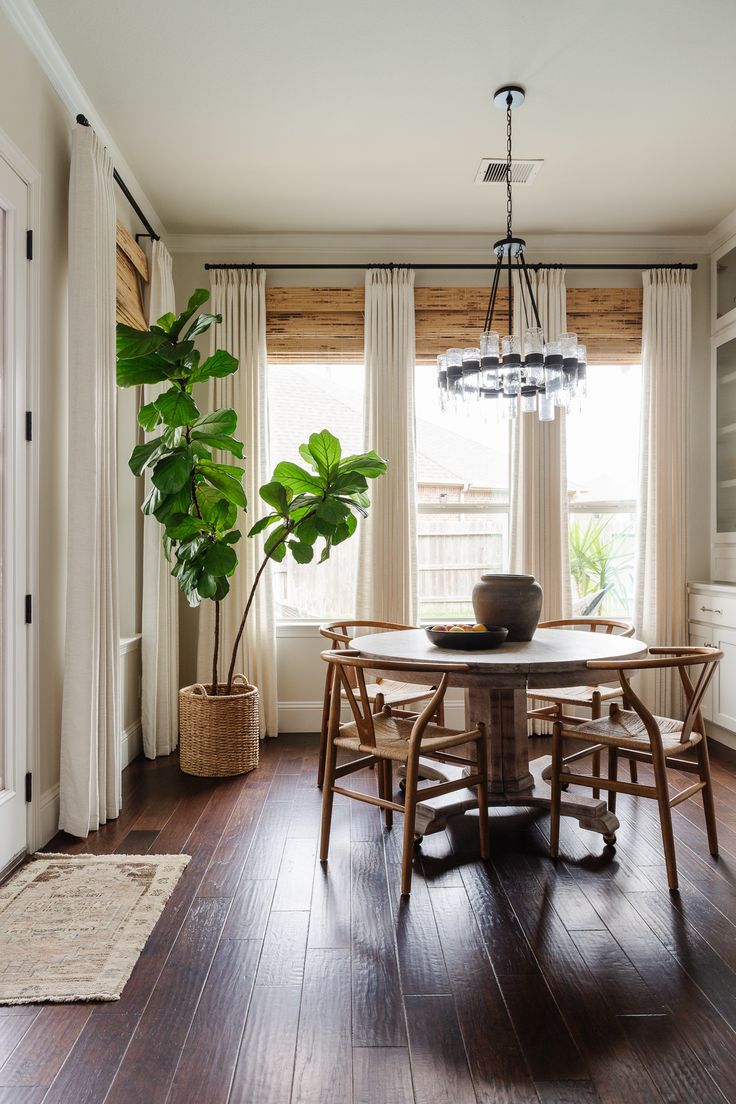 a dining room table with chairs and a potted plant in the corner next to it