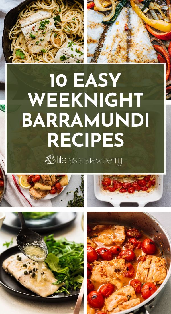 10 easy weeknight baramundi recipes that are delicious and quick to make