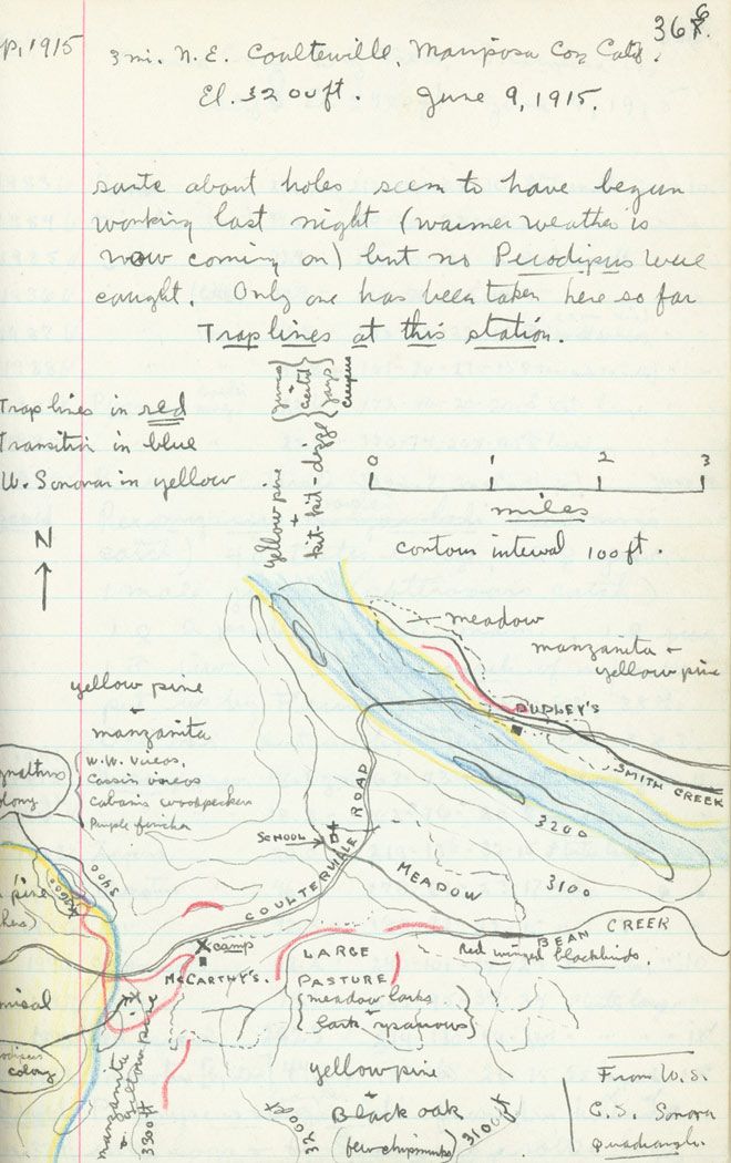 a handwritten map is shown on lined paper