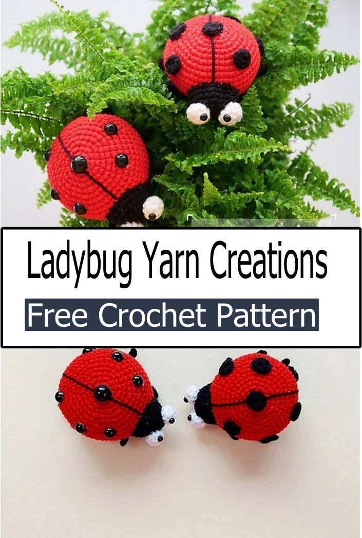 ladybug yarn creations are featured in this free crochet pattern for the ladybug plant