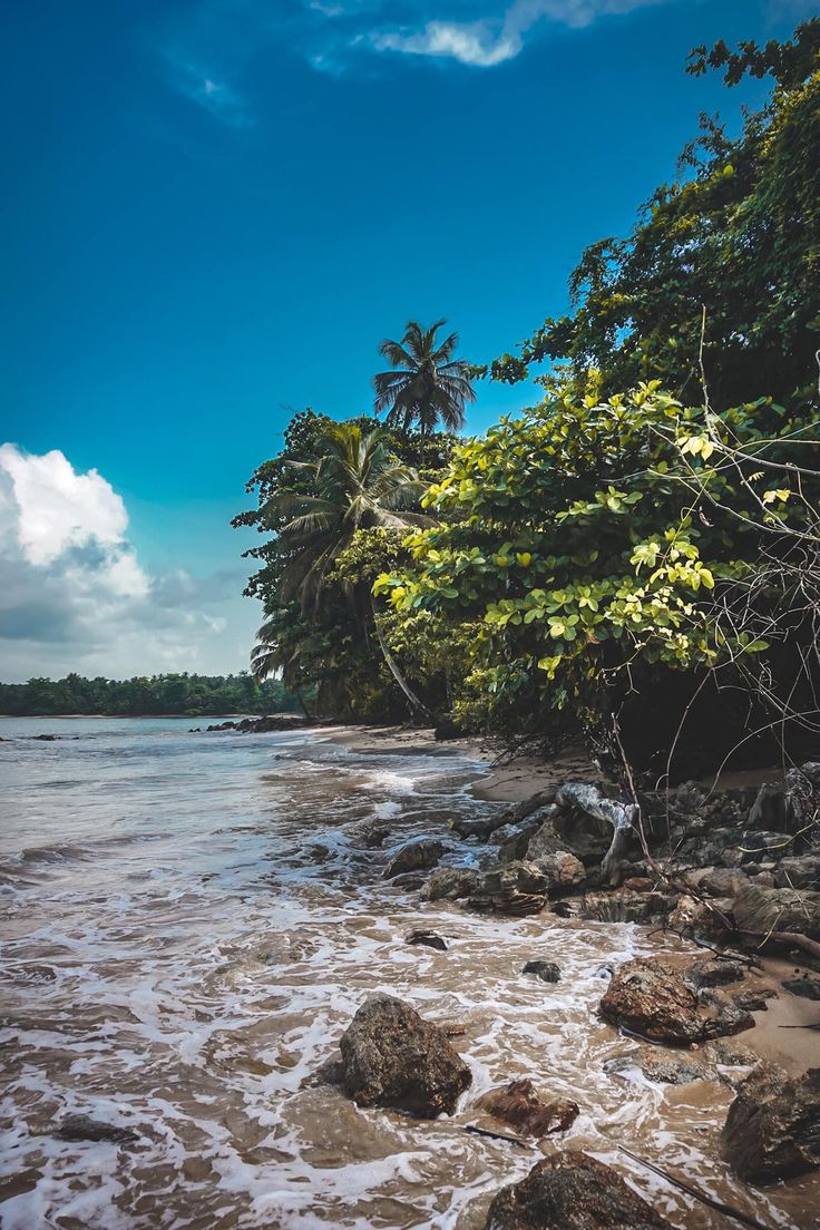 the beach is surrounded by trees and rocks, with waves coming in from the water