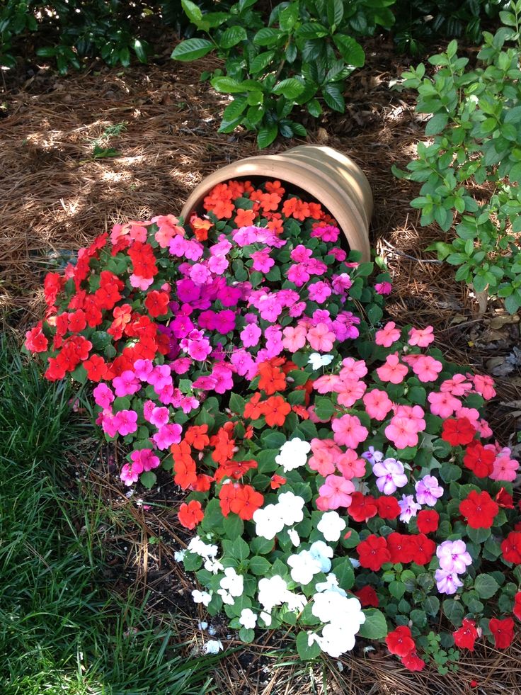 many different colored flowers in a pot on the ground