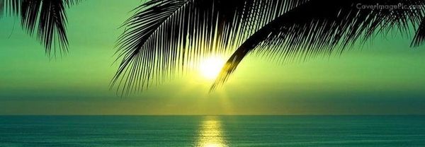 the sun is setting over the ocean with palm trees