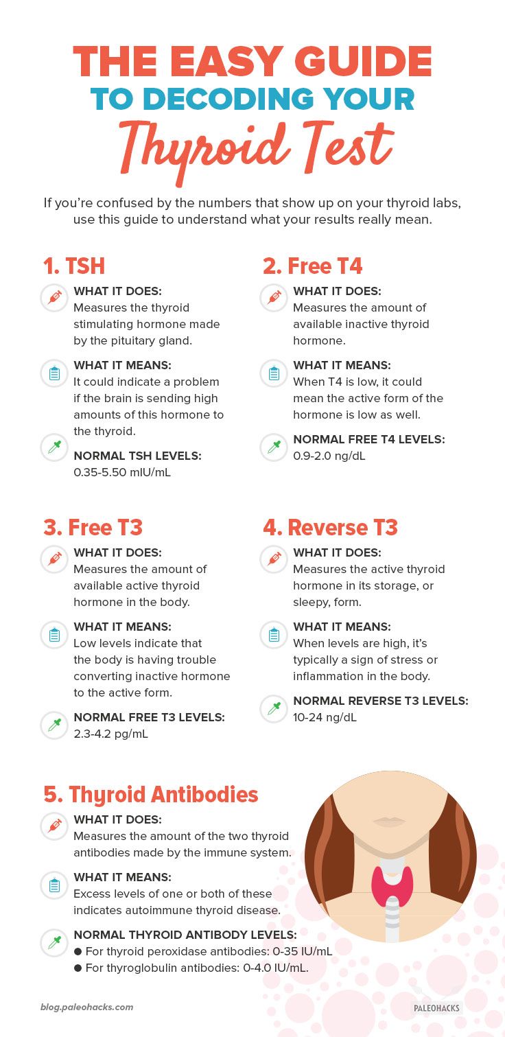 The Easy Guide to Decoding Your Thyroid Tests Types Of Hormones, Thyroid Test, Thyroid Symptoms, Hashimotos Disease, Graves Disease, Thyroid Issues, Tongue Health, Makanan Diet, Thyroid Health