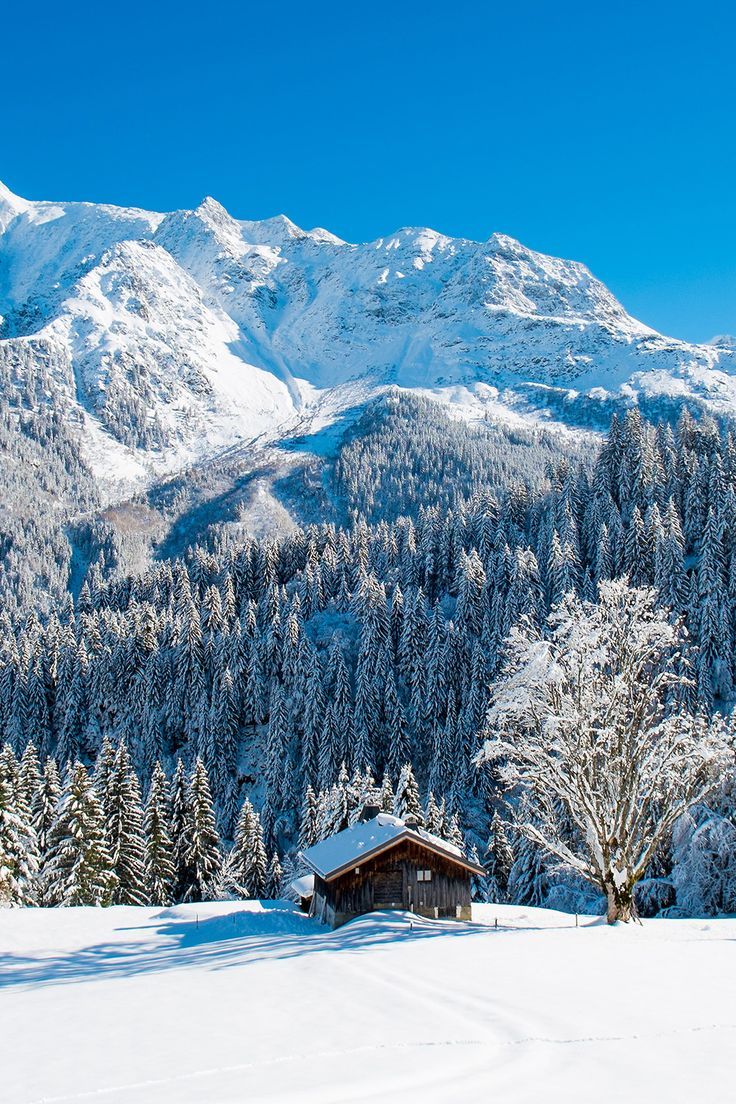 a cabin in the middle of a snowy mountain range