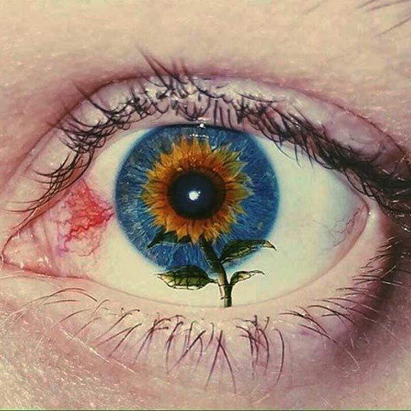 an eye with a flower in the iris