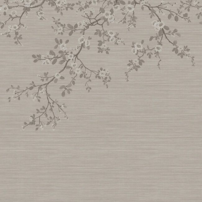 a branch with white flowers is shown against a light gray wallpaper that looks like it has been painted on