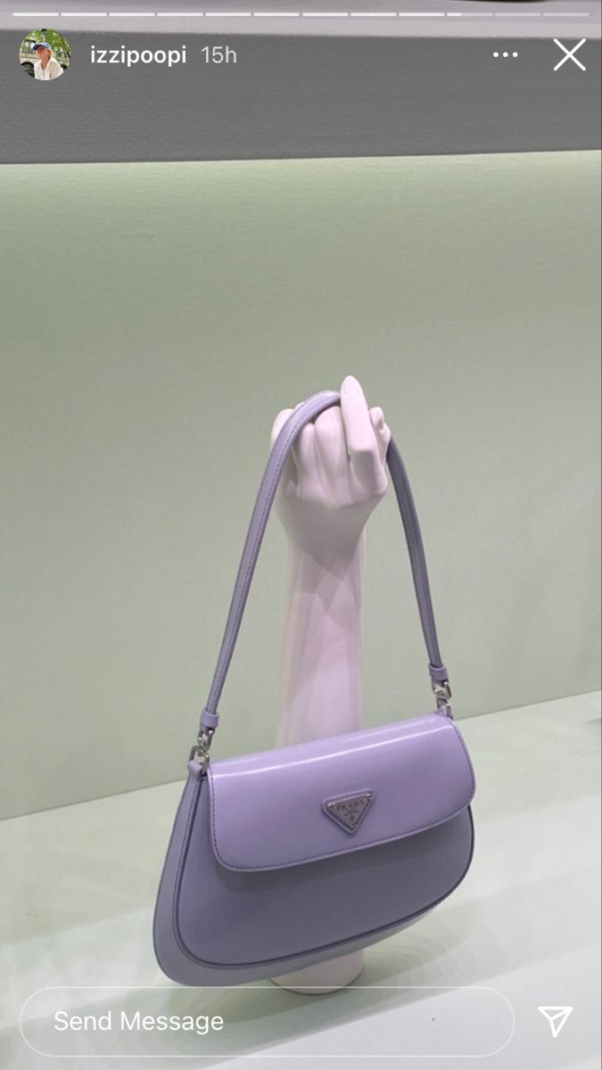 Prada Cleo, Trendy Purses, Aesthetic Bags, Girly Bags, Fancy Bags, Luxury Purses, Bags Aesthetic, Pretty Bags, Cute Purses