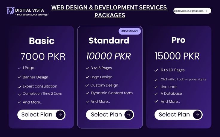 the pricing page for web design and development services package, with three options to choose from