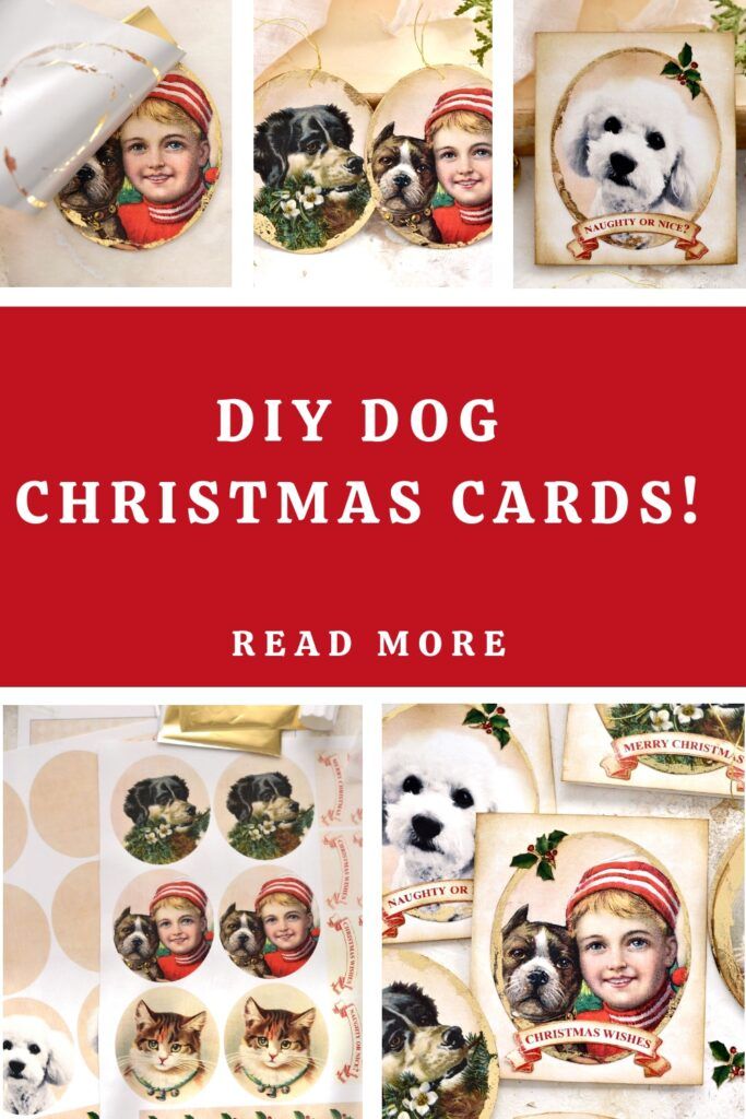 a collage of christmas cards with dogs, cats and other holiday pictures on them