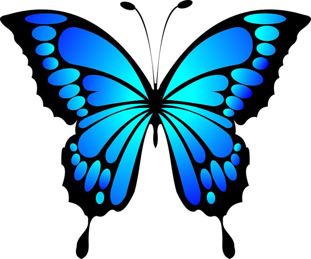 a colorful butterfly is shown in the cross stitch pattern, which looks like it has been painted