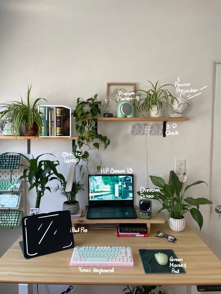 a desk with a laptop computer on top of it and various houseplants in the background