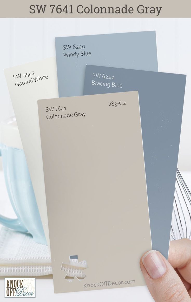 Greige Paint With Blue Undertones, Dusty Blue Accent Colors, Color Walls Ideas, Two Tone Blue Room, Blue Color Palette Kitchen, French Blue Paint Color Sherwin Williams, Timeless Color Palette Home, Sw Windy Blue, Bracing Blue Sherwin Williams