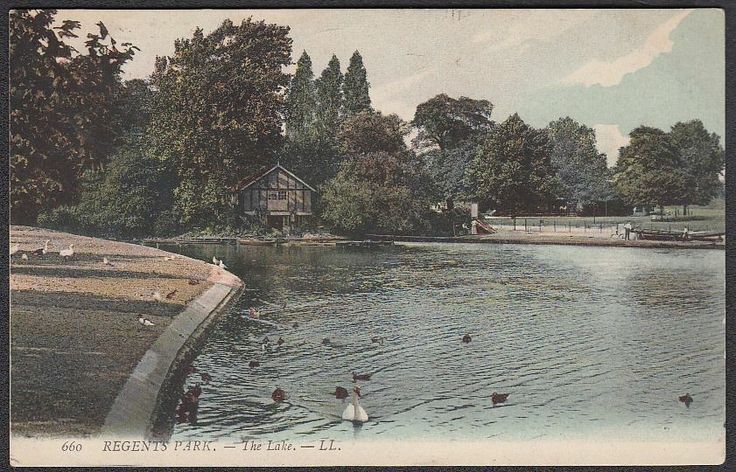 an old postcard shows ducks swimming in the water near a park with trees and buildings