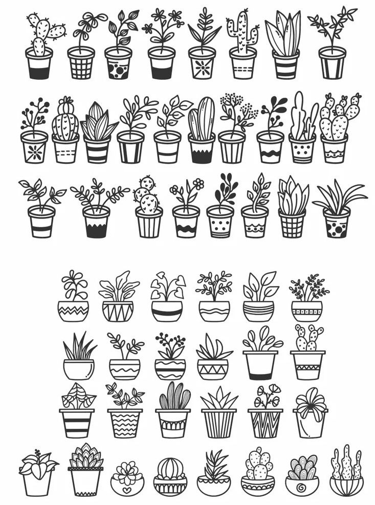 a set of hand drawn potted plants and succulents in different shapes