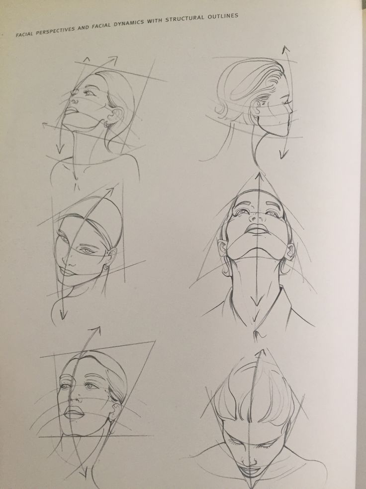 an open book with drawings of different faces and head shapes on it's pages