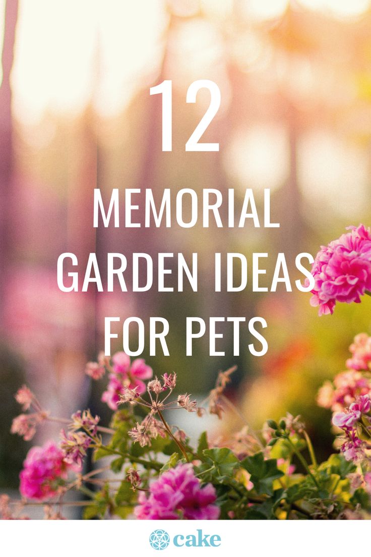 pink flowers with the words 12 memorial garden ideas for pets on it in front of trees