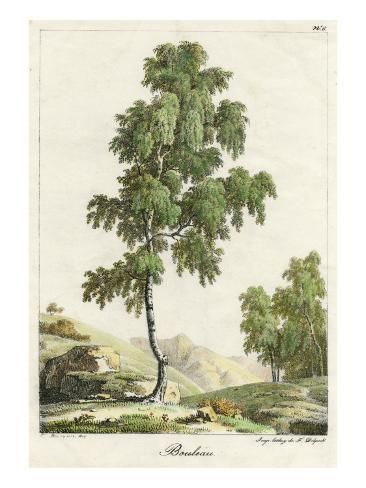 a drawing of a tree with mountains in the background