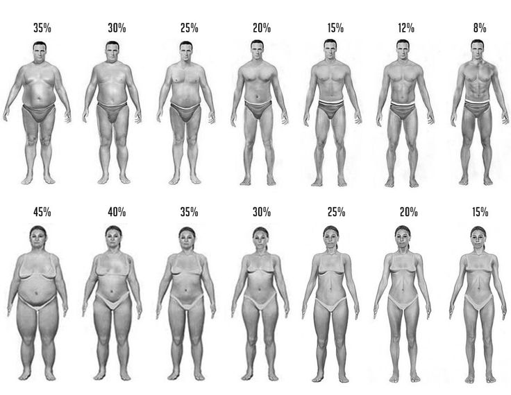 the average male body type is shown in this chart, and it shows how many men are