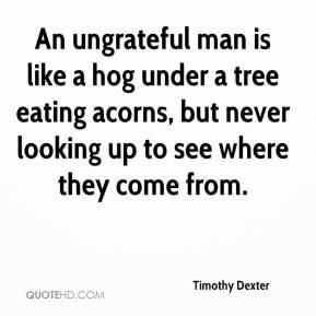 an ungrateful man is like a hog under a tree eating acorns, but never looking up to see where they come from