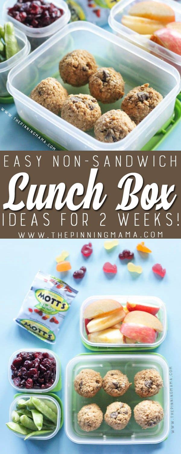 lunch box ideas for 2 week's easy non - sandwich lunches are packed with fresh fruit and veggies