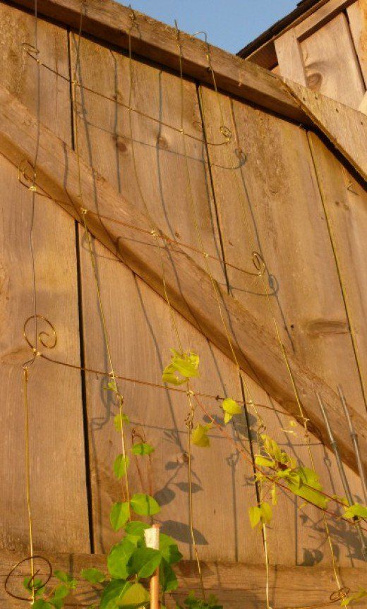 an old wooden building with vines growing out of it