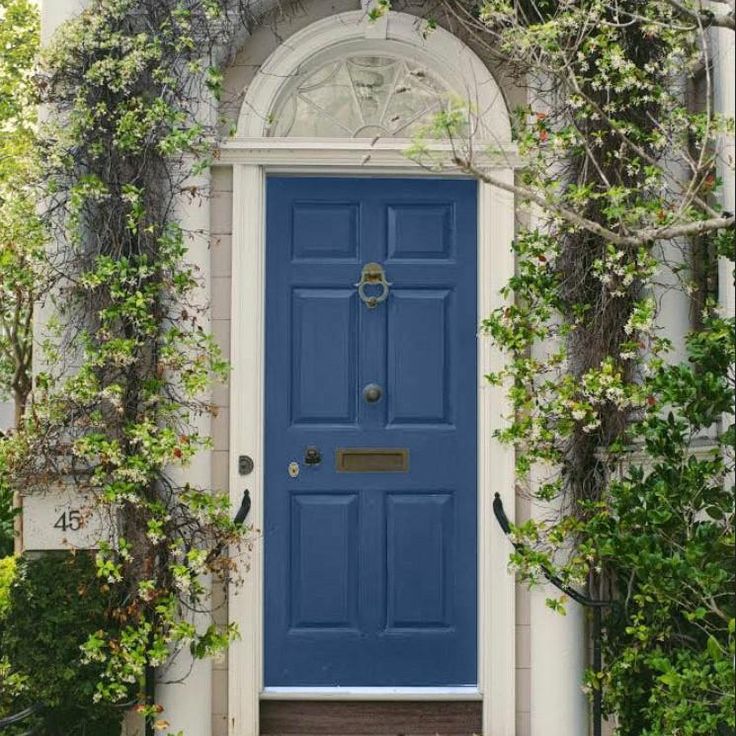 a black front door surrounded by greenery