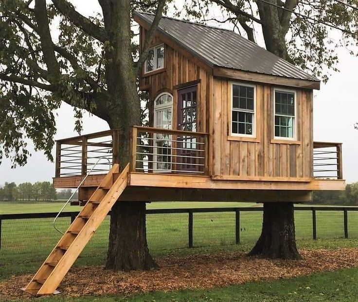 a tree house built into the side of a tree in a field with stairs leading up to it