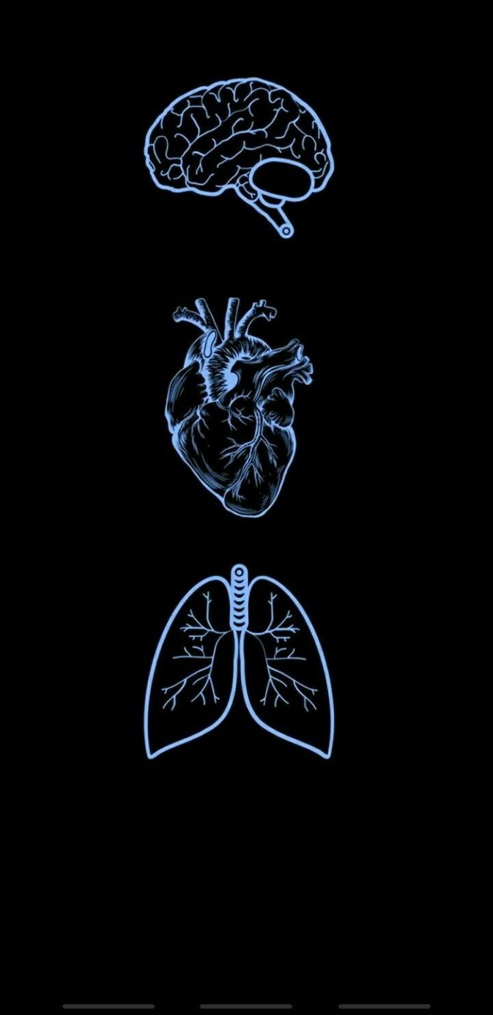 an image of the human heart and lungs on a black background with blue neon lights